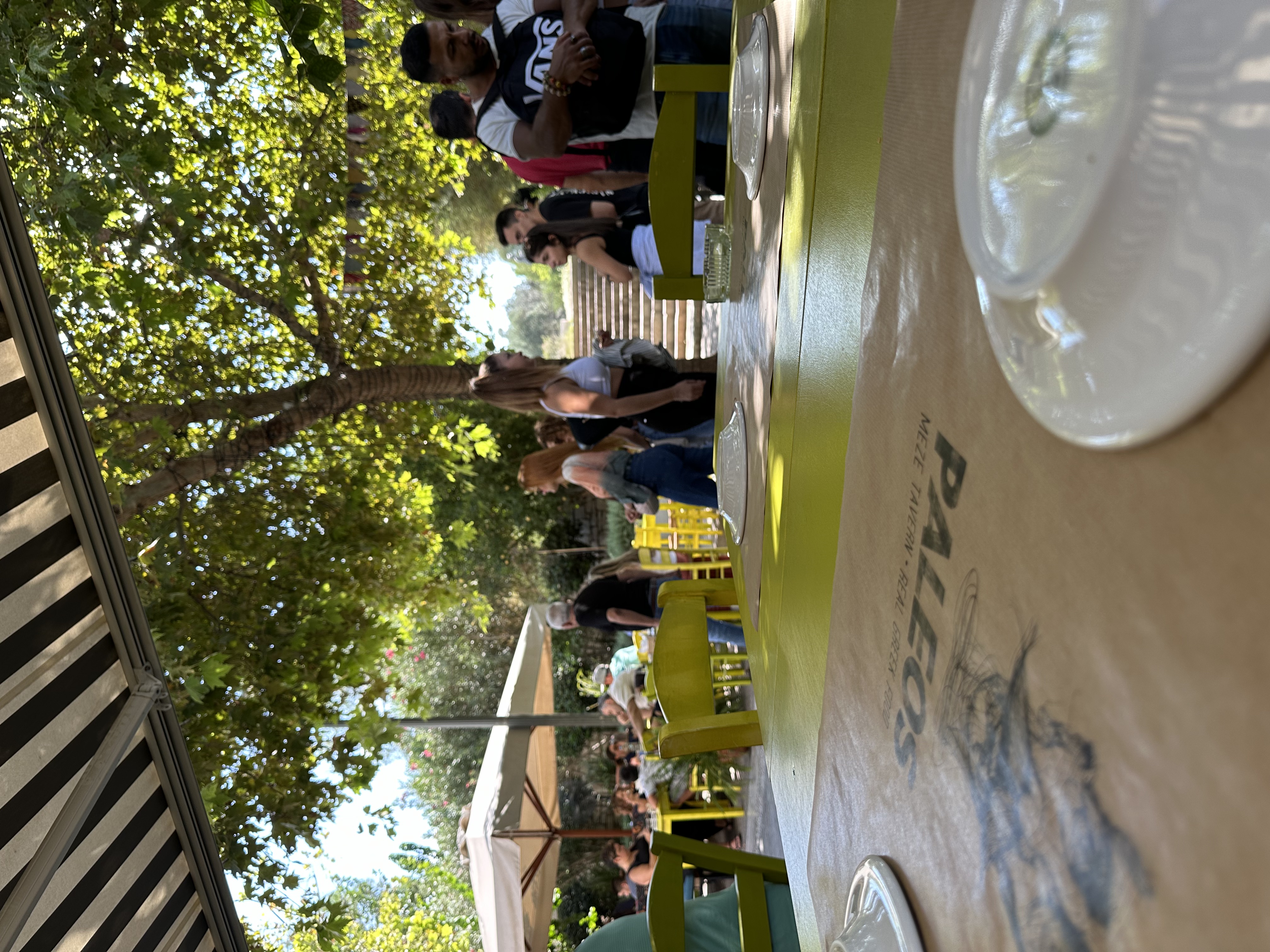paleos athens meze tavern real greek food